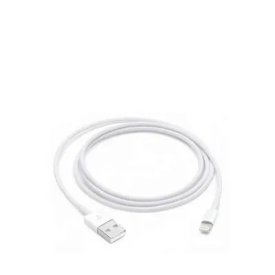 Cabo de Carga Apple MXLY2ZM/A de conetor Lightning a USB 2.0 1m
