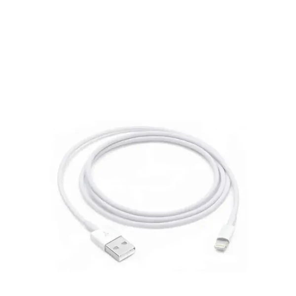 Cabo de Carga Apple MXLY2ZM/A de conetor Lightning a USB 2.0 1m