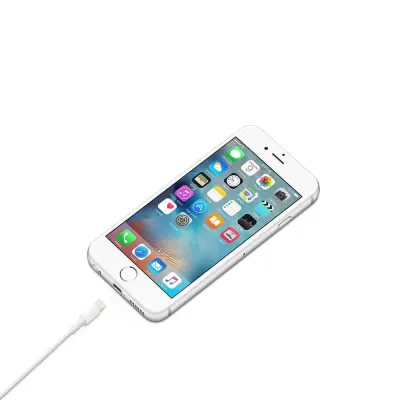Cabo de Carga Apple MXLY2ZM/A de conetor Lightning a USB 2.0 1m