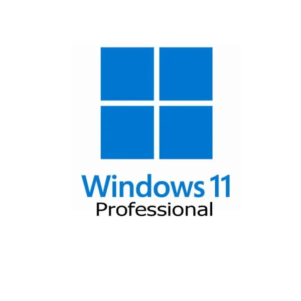 Microsoft Windows 11 Pro DVD Oem