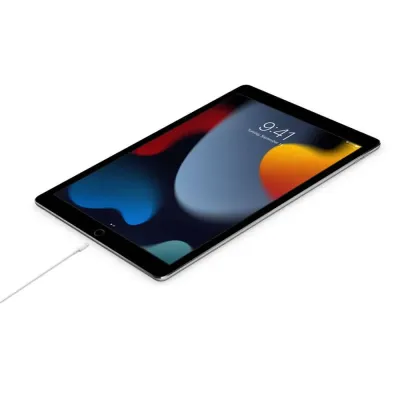 Cabo de Carga Apple de conetor USB-C a Lightning 2m