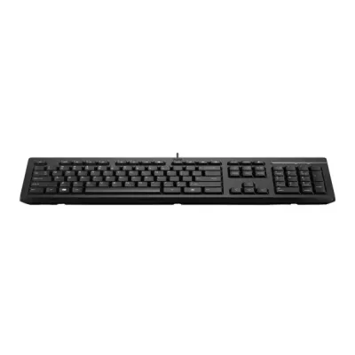 Teclado HP 125 G2 com Fios 1.8Mt Preto
