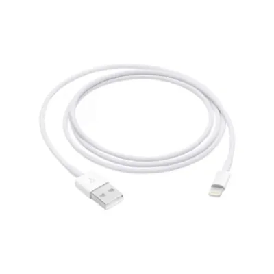 Cabo de Carga Apple MD819ZM/A de conetor Lightning a USB 2m